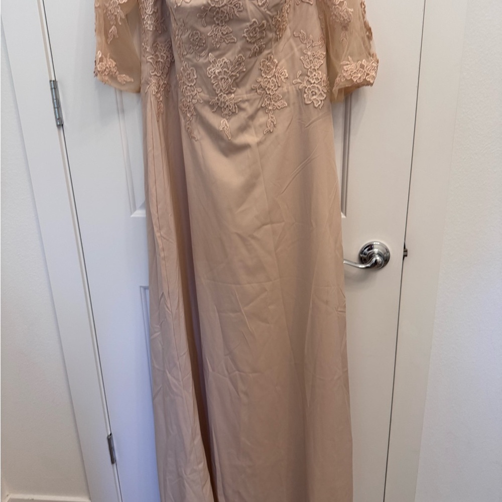 Amazon Elegant Long Sleeve Lace Dress in Light Pink
